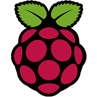 Raspberry Pi Logo